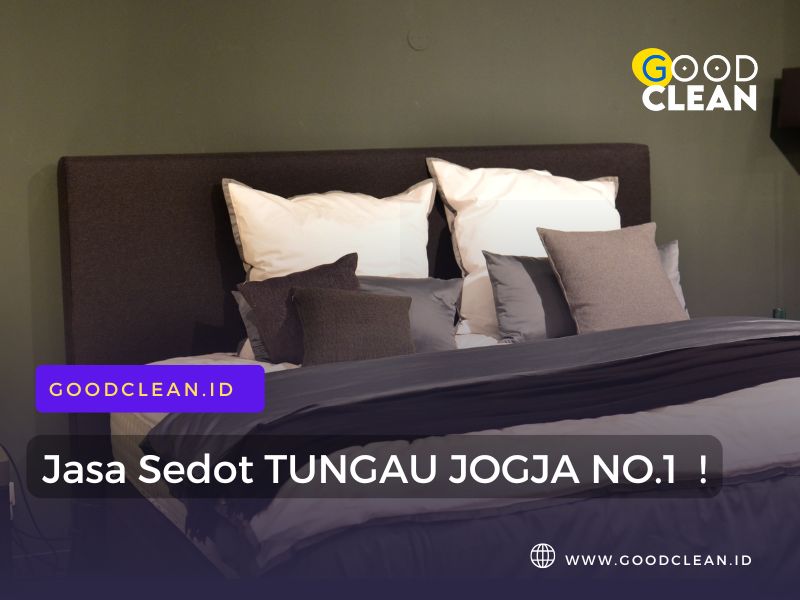 jasa bersih tungau hydrovaccum solo terbaik murah